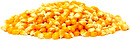 Kukurica na popcorn